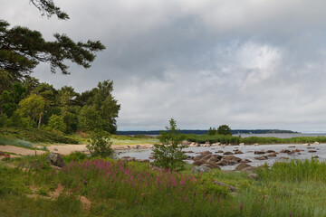 Baltic sea shore with boulders, grass and trees. Daytime.