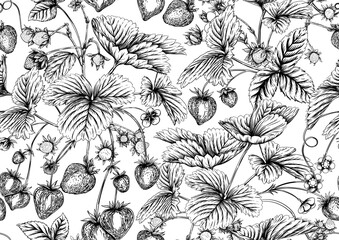 Strawberry. Ripe berries. Seamless pattern, background. Vector illustration. In graphic, egraving, botanical style Isolated on white background