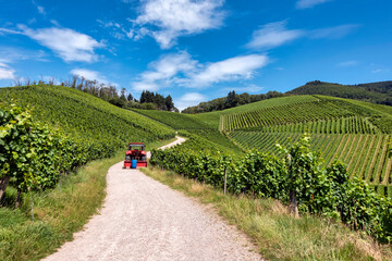 Red tractor on curved path in vineyard landscape