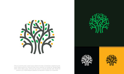 Circle tree logo icon template design. Abstract round garden plant natural line symbol. Green branch with leaves business sign