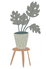 Monstera plant in pot. Hand drawn illustration on white background.