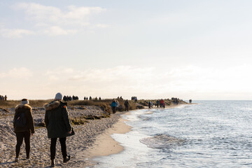 M&aring;kl&auml;ppen in southern Sweden, in the winter a very well visited animal welfare area for seals.