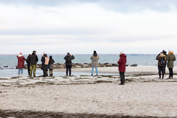 Måkläppen in southern Sweden, in the winter a very well visited animal welfare area for seals.