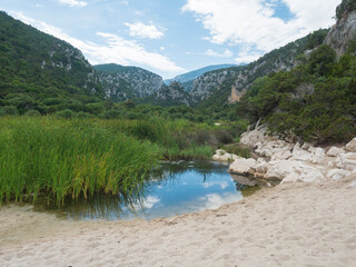 view on small pond with grass at entrance to Cala Luna beach at Gulf of Orosei with green hills, white limestone rocks and sand. Sardinia, Italy.