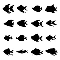 fish silhouette icon set vector