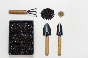 flat lay spring seed planting. garden shovels, rakes, earth and seeds. time to plant garden plants. Gardening tools top view on white wooden background with copy space