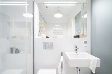 Naklejka na ściany i meble Simple bathroom with shower