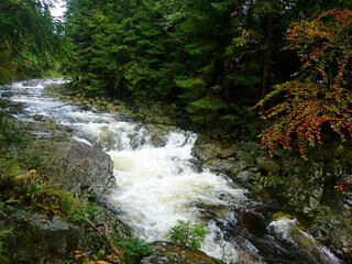 Obraz premium Czech Republic - view of the rapids on the river Elbe near the town of Spindleruv Mlyn