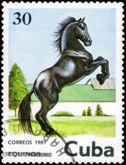 Postage stamp issued in the Cuba with the image of the Horse, Equus ferus caballus. From the series on Horses, circa 1981