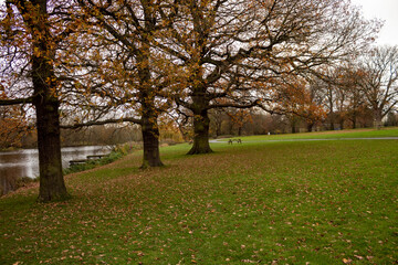 Autumn in Park Markeaton in England 