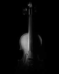 "Violin" © Rebe.Ramby