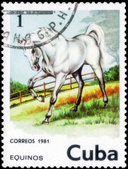 Postage stamp issued in the Cuba with the image of the Horse, Equus ferus caballus. From the series...
