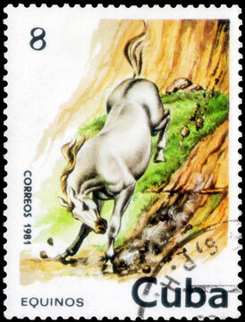 Postage stamp issued in the Cuba with the image of the Horse, Equus ferus caballus. From the series on Horses, circa 1981