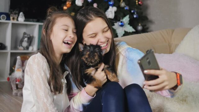Selfie on the smartphone of two teenage girls together with a Yorkshire terrier puppy.