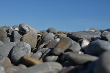 Sea stones by the sea. Bottom view. Close-up