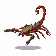 scorpion