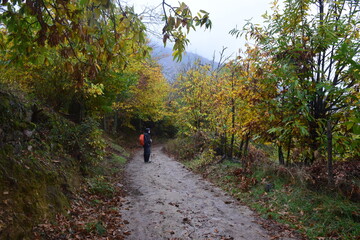  bosque oto&ntilde;al, extremadura