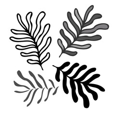 Isolated vector set of black and white grass blades leaves lined and silhouette