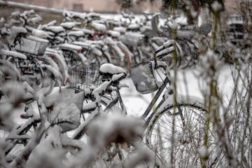 bicycles in the snow