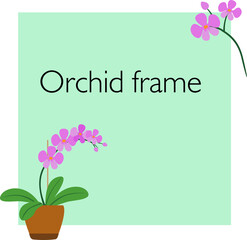 Square background with a potted orchid