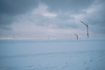 Kräne im Winter