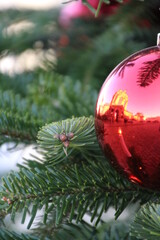 Zwinger in Christbaumkugel