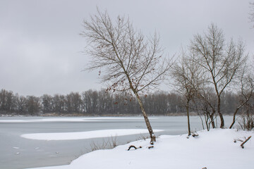 Winter on the river winter landscape