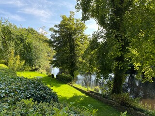 Riverside view, with old trees, and wild plants, on the banks of the River Nidd in, Knaresborough, UK