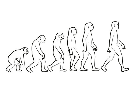 Icono negros de la evoluci&oacute;n del ser humano.