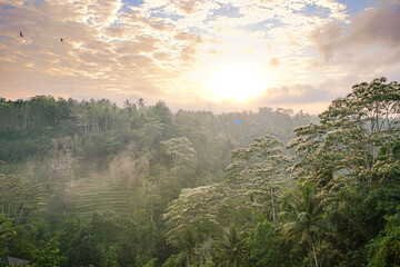 Sonnenaufgang im Dschungel