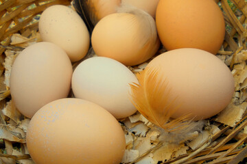eight homemade chicken eggs with feathers in a basket of sawdust