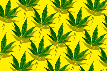 Cannabis pattern in yellow background