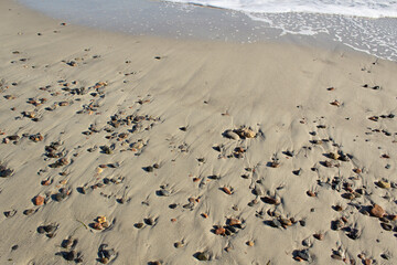 Pebble on sandy summer beach on peaceful Black sea coast meditating inspiring concept   