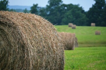 Bale of hay landscape