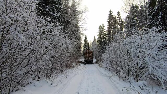 Loading logs on a car for transportation on a winter day in a snow-covered forest. Wood harvesting and woodworking