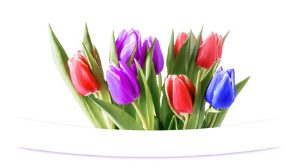 Bouquet  color tulip flowers isolated on white background with copy space. Hello spring or greeting floral card.	