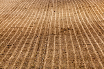 the plowed soil on which to grow cereal crops