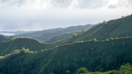 Naklejka premium Mountain Hike