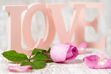 Valentine's Day.  International Women's Day . Wooden pink letters. The word Love. Rose and Eiffel Tower. Copy space. Card.