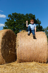 Naklejka na ściany i meble boy sits on top of a golden straw stack