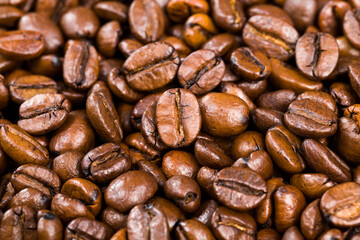 aromatic coffee beans