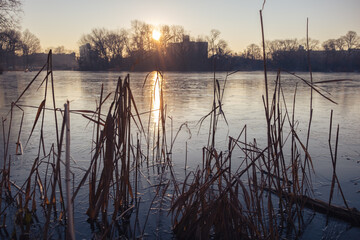 Sun rising over the thin layer of ice on the lake at Prospect Park, silhouetting buildings and trees in the background.