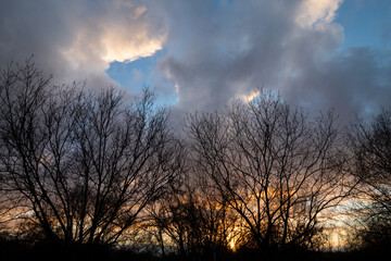 Sunset before lockdown in branston water park in Burton on trent England