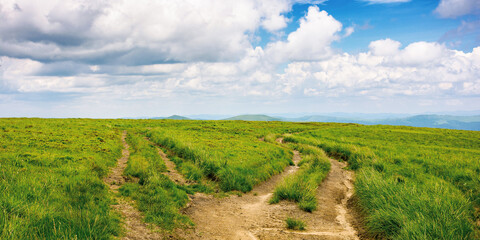 Fototapeta na wymiar path through green grassy mountain meadow. beautiful summer landscape. fine weather with fluffy clouds on the blue sky