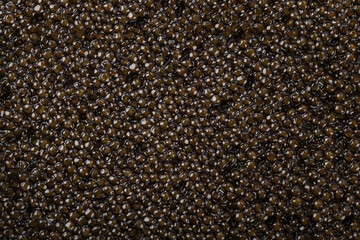 Seamless pattern caviar. Seamless texture of black caviar. background