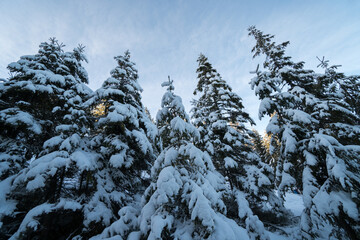 Beautiful 2021 winter landscape view in the Carpathian Mountains, Romania