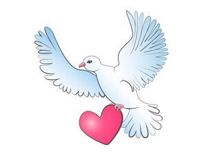 A dove in white and blue tones flies and holds its heart in its paws. Vector illustration in cartoon style isolated on white background.