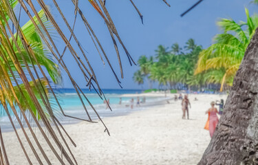 Vue de feuilles de palmiers en premier plan sur fond de plage tropicale.