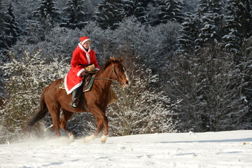 Schönstes Hobby der Welt: Reiten im Winter