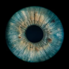 Gordijnen human iris © Lorant